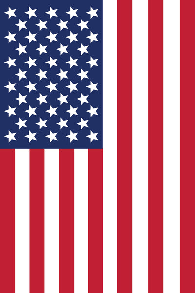 American Flag Canvas - Patriot Prints
